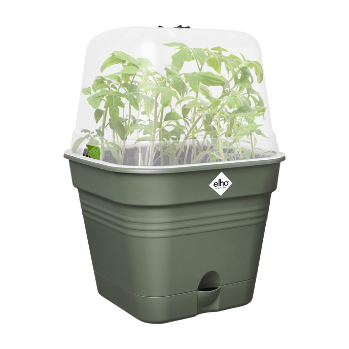 green basics growpot square allin1 15cm leaf green
